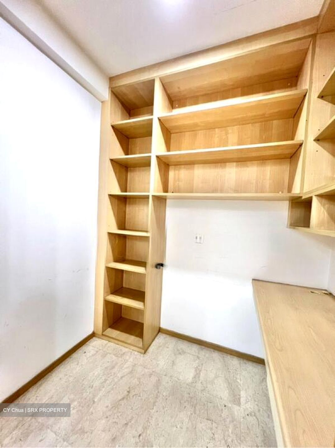 The Levelz (D10), Condominium #510614321